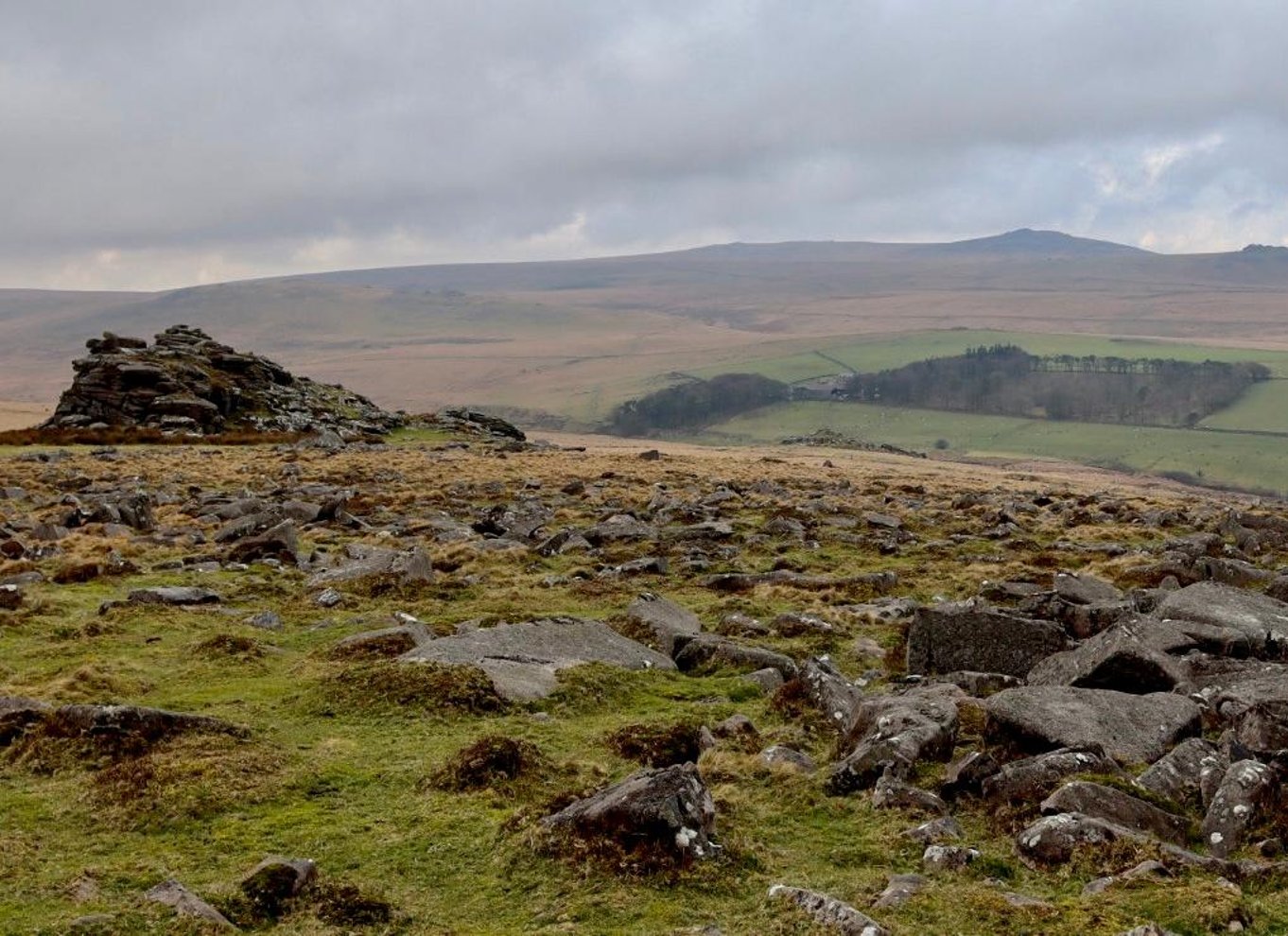 Dartmoor: Guidede byvandringer