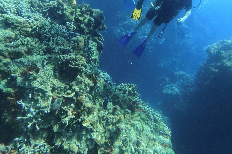 Cancun: Pacchetto avventura con i pesci pappagallo