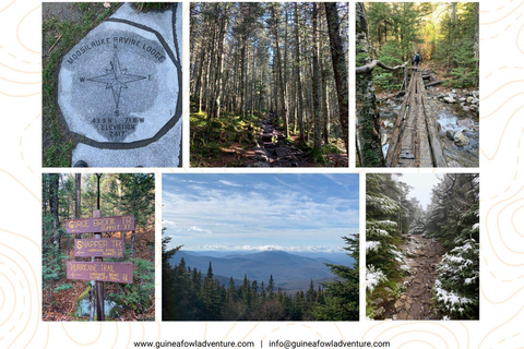 Boston: Caminhada de 4.000 pés nas Montanhas Brancas - Monte Moosilauke