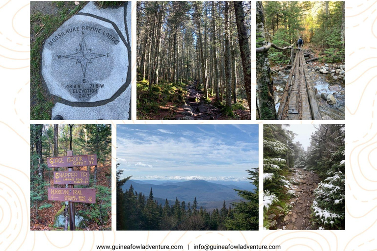 Boston: Caminhada de 4.000 pés nas Montanhas Brancas - Monte Moosilauke