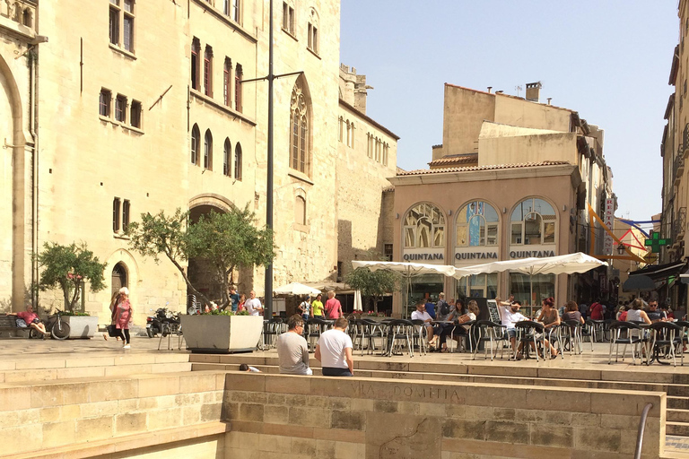 Narbonne, Gruissan et le village de Lagrasse. Excursion d'une journée