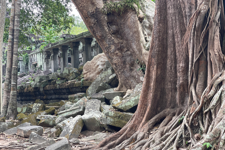 Beng Mealea Tour with Hotel or Airport Transfer Airport Pickup, Beng Mealea & Hotel Drop-off (Private)