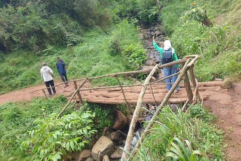 Day Trip To Materuni For Waterfall, Coffee Tour & Local Dish
