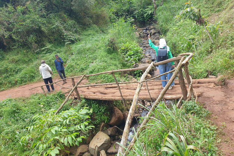 Day Trip To Materuni For Waterfall, Coffee Tour & Local Dish