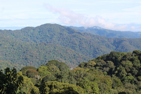 3-Day Nyungwe National Park and Lake Kivu Tour