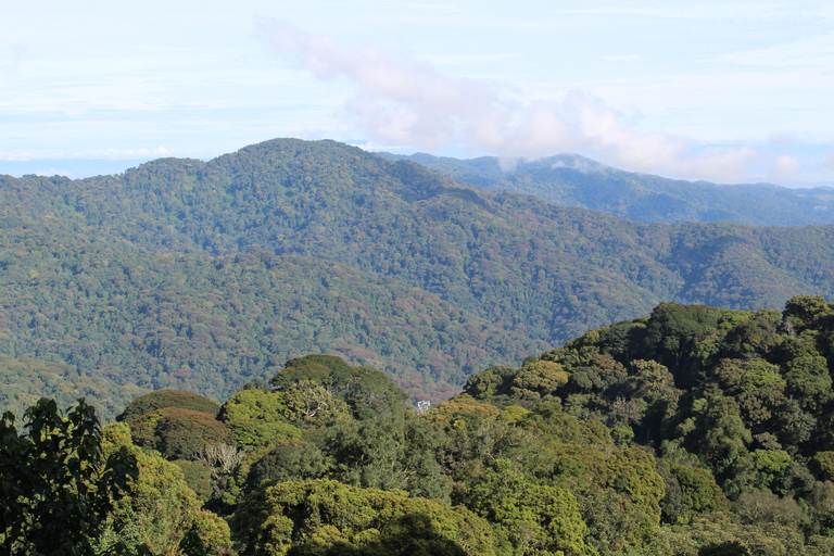 3-Day Nyungwe National Park and Lake Kivu Tour