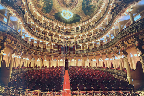 Private Tour in Manaus: Science Forest and Amazonas Theater