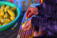 Tour de Battambang Tuk-tuk de día completo - Housity