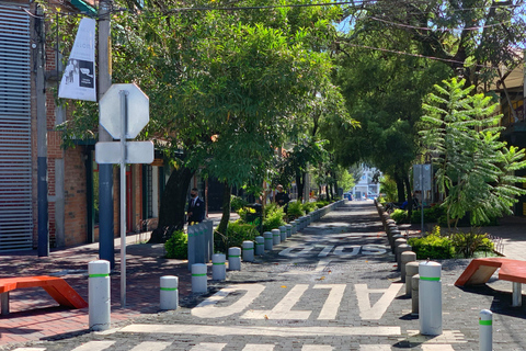 Ciudad de Guatemala: Tour Urbano por los tesoros de la capital