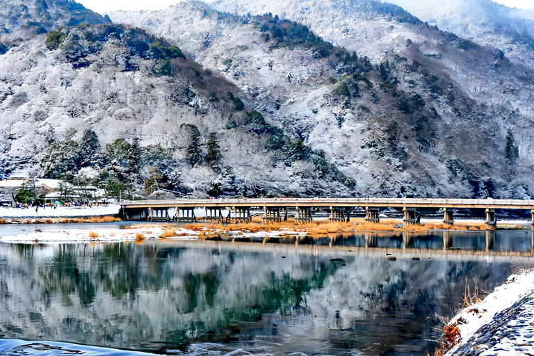 Osaka/Kyoto: Arashiyama, Nara Park & Fushimi Inari Day Tour Kyoto Departure: Private Sightseeing Tours