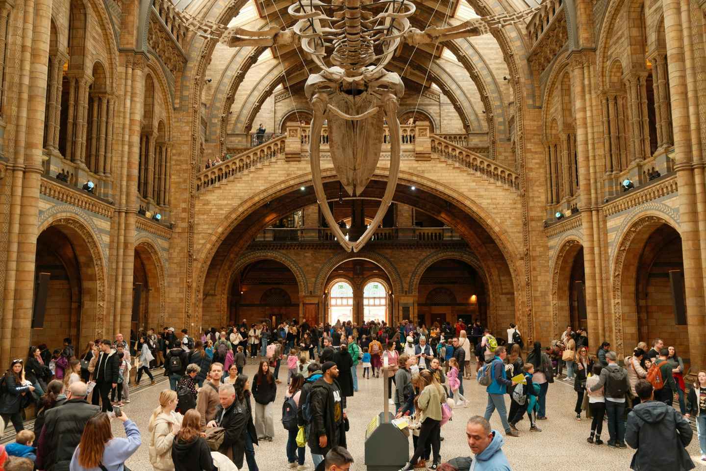 London: Natural History Museum Guided Tour