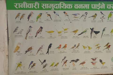 كاتماندو: جولة في الحديقة الخضراء والشلالات