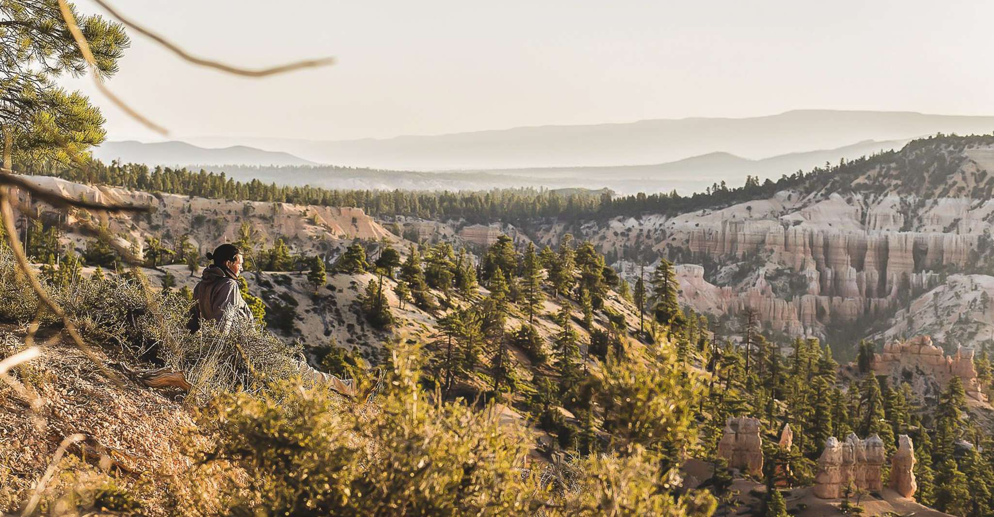 Las Vegas, Grand Canyon National Park South Rim Guided Tour - Housity