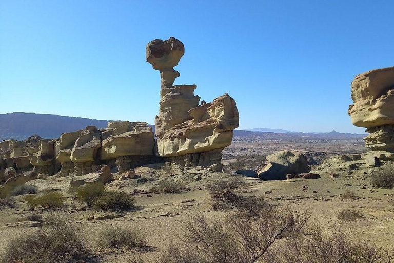 San Juan : Visite du parc Ischigualasto dans la vallée de la luneSan Juan : visite du parc Ischigualasto dans la vallée de la lune