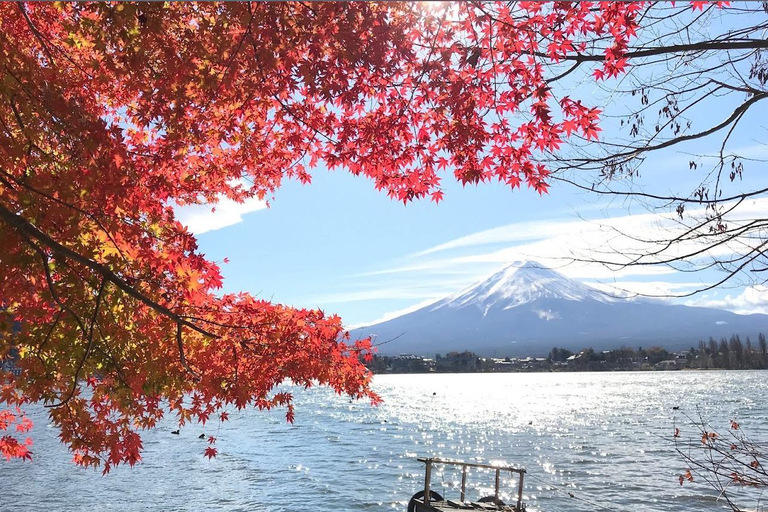 Mt.Fuji Private tour by car with pick and drp from Tokyo Tokyo Private1-Day MT Fuji by Charter by driver