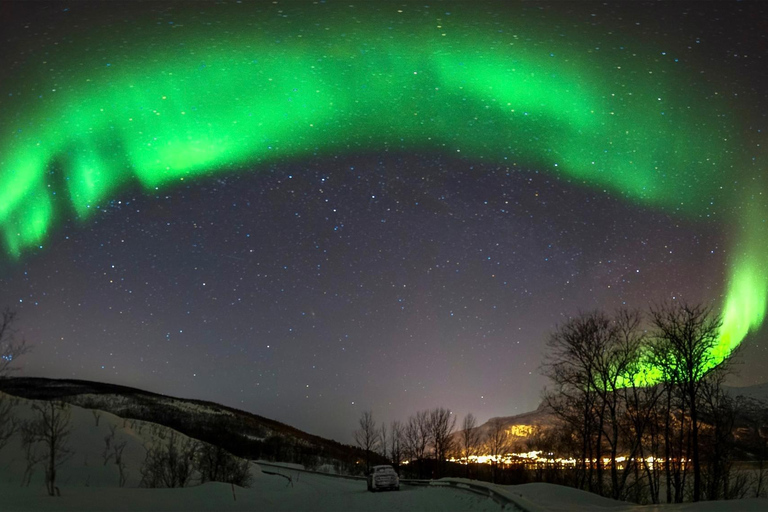 Harstad/Narvik/Tjeldsund: giro turistico dell&#039;aurora boreale in auto