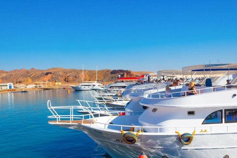 From Sharm: Ras Mohamed, White Island Snorkel & Dive & Lunch 1 Intro Dive Option Beginners & Professional