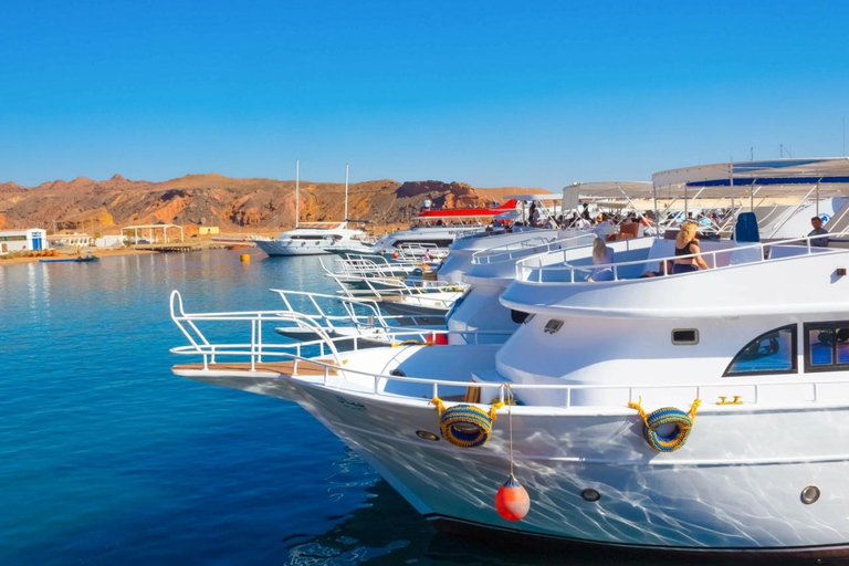 From Sharm: Ras Mohamed, White Island Snorkel & Dive & Lunch 1 Intro Dive Option Beginners & Professional