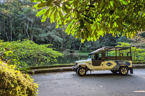 Jeep&#039;n&#039;Culture: Rocinha Favela and Tijuca Rainforest TourFrom South Zone or Downtown - French