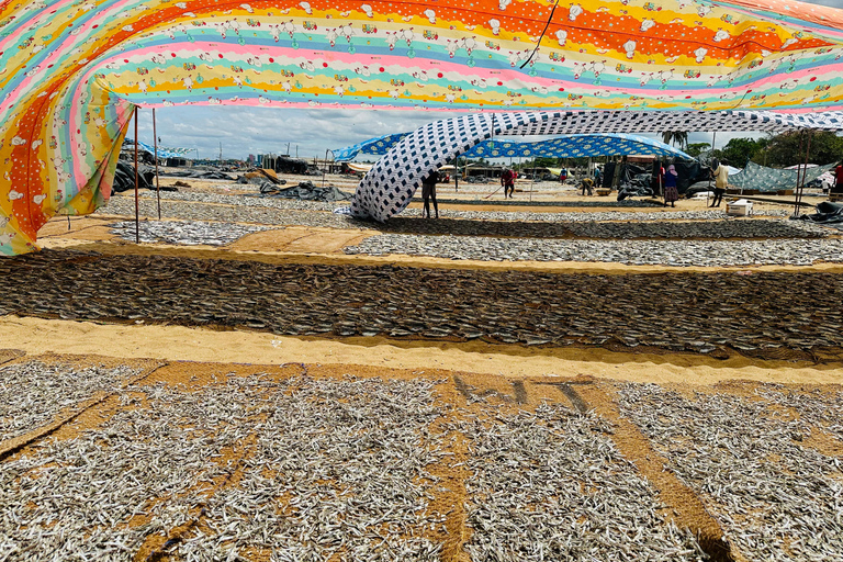 Negombo City Explorer Adventure by Tuk-Tuk (Included Pickup)