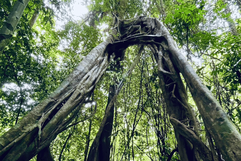 Khao Sok: Full-Day Ratchaprapha Dam Tour, Boat Trip & Lunch