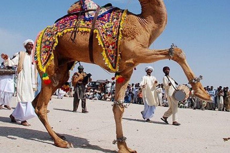 From Hammamet: 2-Day Sahara Desert Tour with Meals