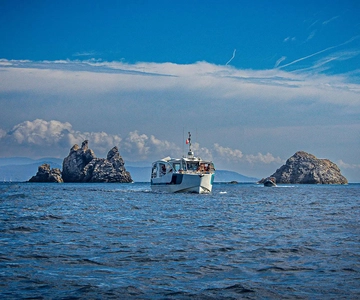 2 Islands Cruise: Porquerolles & Port-Cros with stops
