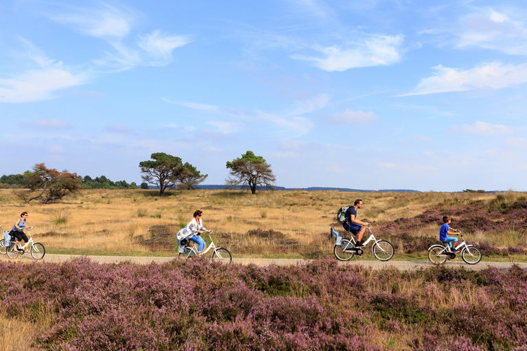 From Amsterdam: De Hoge Veluwe & De Haar Castle Day Trip
