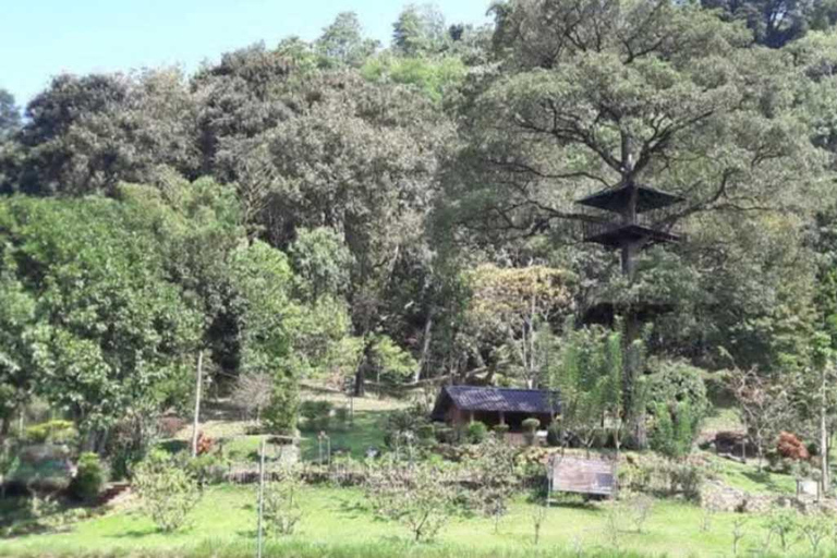 Kandy Top City Sights & Agro Tech Park Visit 4-Hours Tour Kandy Top City Sights visit -01