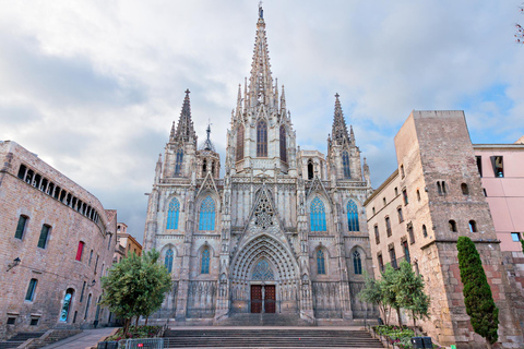 Best of Barcelona: Private Guided Tour with Pick-up
