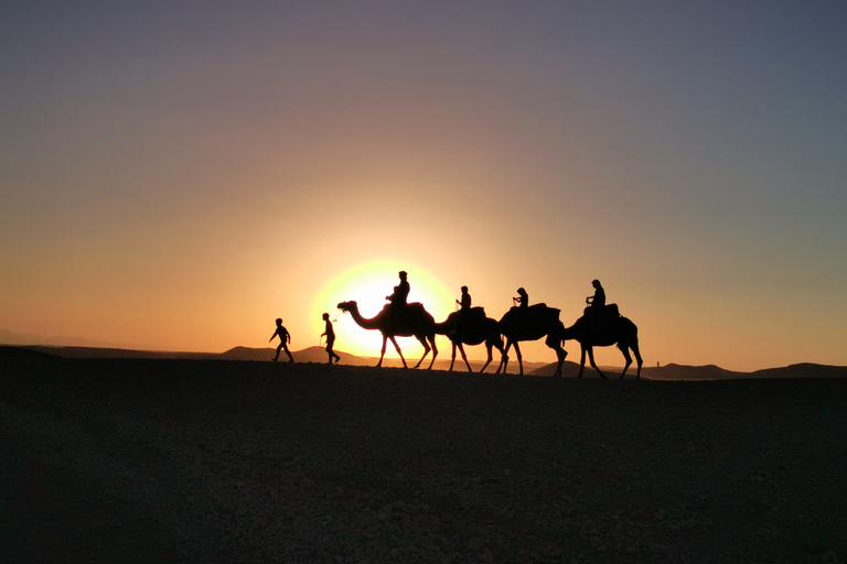 Marrakech: Montañas del Atlas, Valle del Ourika, almuerzo y paseo en camello