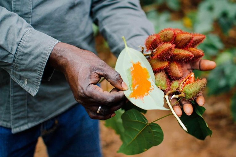 Pemba Island: Mkama Ndume Fortress Tour with Photos Mkama mdume and photoshoot