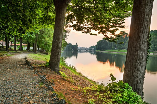 Walking tour of Valentino Park - The Monumental Trees