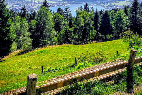 Tegernsee to Schliersee: Guided panoramic hike on the Prinzenweg