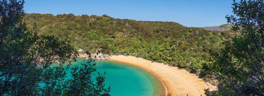 Parc national Abel Tasman : croisière et randonnée d'une jounée