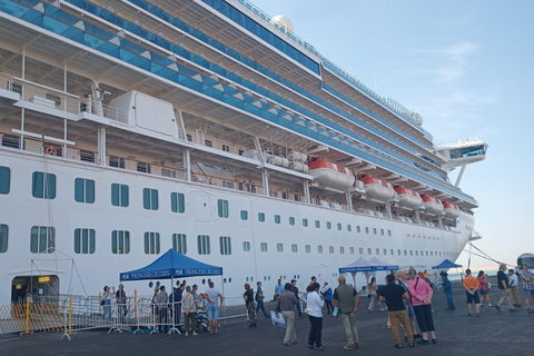 Ballestas Islands from Pisco - CRUISESHIP TERMINAL