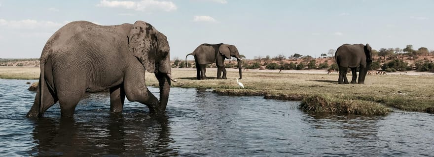 Safari de 3 jours dans la nature sauvage de Kafue