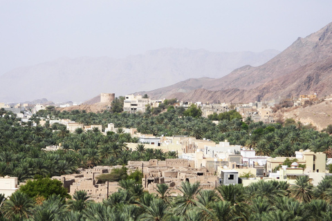 Excursion d'une journée à Birkat Almouz&Nizwa souq&Fort&Falaj Daris.(QUOTIDIEN) excursion d'une journée à Nizwa souq&Castel, Falaj Daris