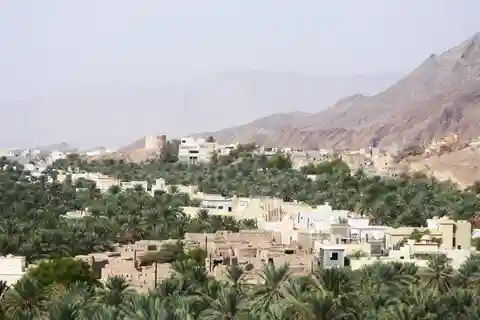 całodniowa wycieczka do suku Birkat Almouz i Nizwa oraz do fortu i Falaj Daris.