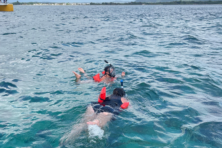 Actividad de snorkel con paseo en barco en Montego Bay