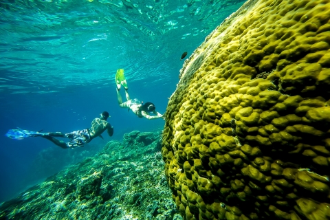 Ab Bali: Schwimmen mit Mantarochen auf Nusa Penida