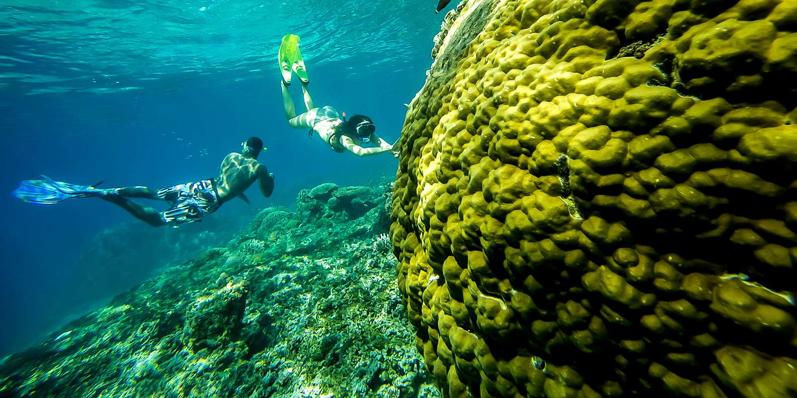 Bali: Swim with Manta Rays in Penida, Optional Lunch & Kayak