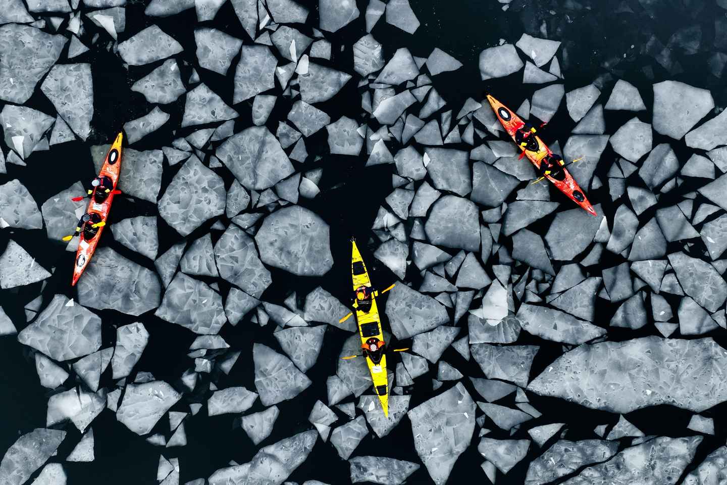 Estocolmo: Kayak de Invierno, Fika Sueca y Sauna Caliente