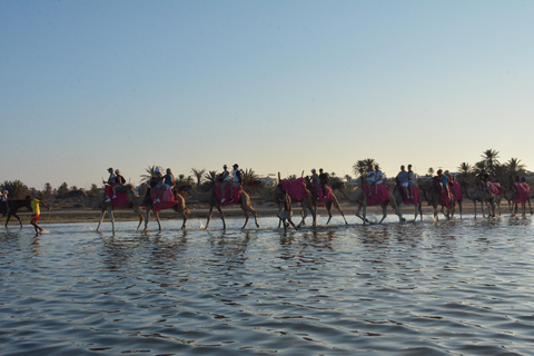 Vivez l&#039;aventure pendant 2,5 heures avec des chevaux et des chameaux.