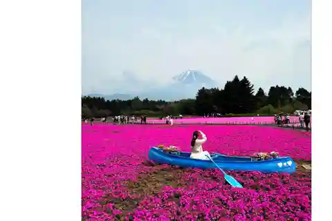 Tokyo: Private Full-Day Tour to MT Fuji or Hakone with Guide