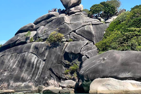 Similan Catamaran Small Group Day Tour From Phuket/Khao Lak