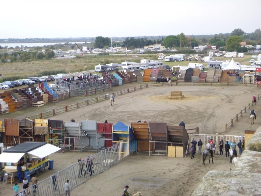 Le Grau du Roi, Half-Day Tour of Camargue - Housity