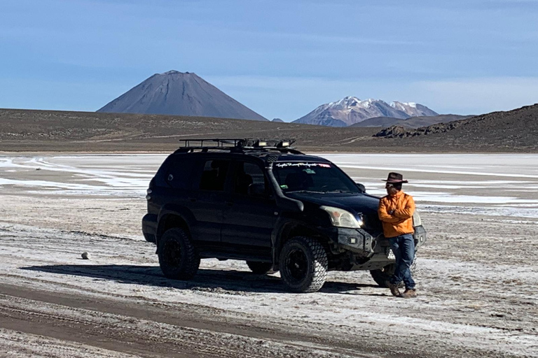 Arequipa: Tour della laguna di Salinas