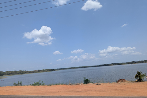 Sigiriya: Anuradhapura Guided Day Trip