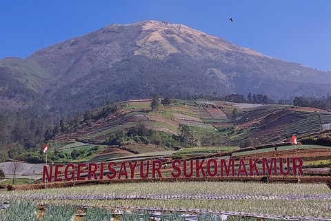 Magelang: Silancur Highland Sunrise & Sukomakmur Tour